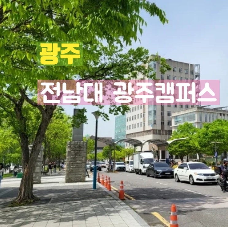  광주 북구 산책하기 좋은길 전남대학교 광주캠퍼스