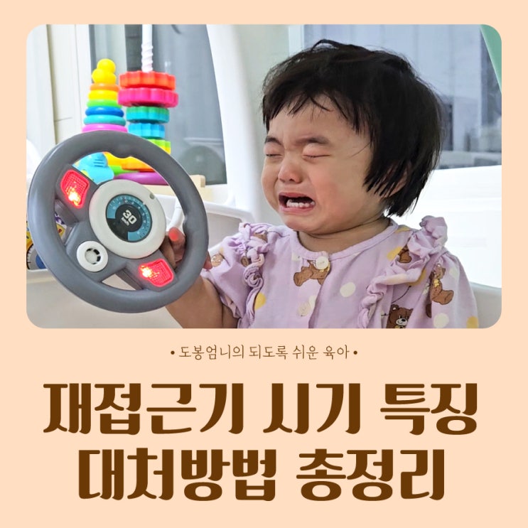  재접근기 시기 특징 대처방법 훈육까지 총정리 (feat.엄마껌딱지)