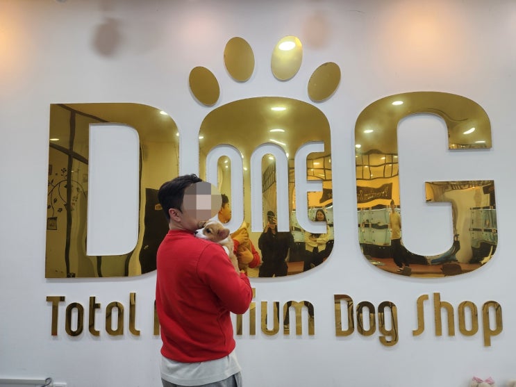  "세종의 강아지분양 보물창고 원독, 웰시코기 분양"/세종시 애견샵 세종시 강아지분양