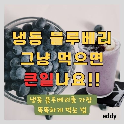  냉동 블루베리 먹고 병원가는 이유와 가장 효과적으로 안토시아닌 흡수하는 블루베리 스무디 레시피 효능