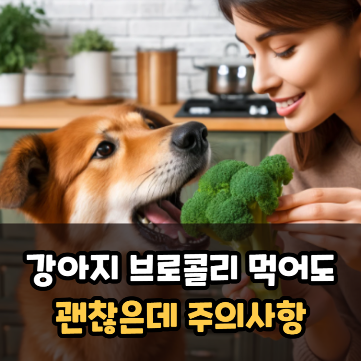 강아지 브로콜리 적정 급여량과 찌기 데치기 방법