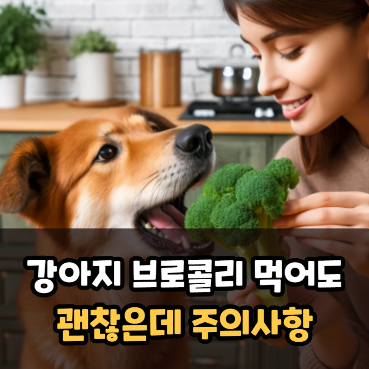  강아지 브로콜리 적정 급여량과 찌기 데치기 방법