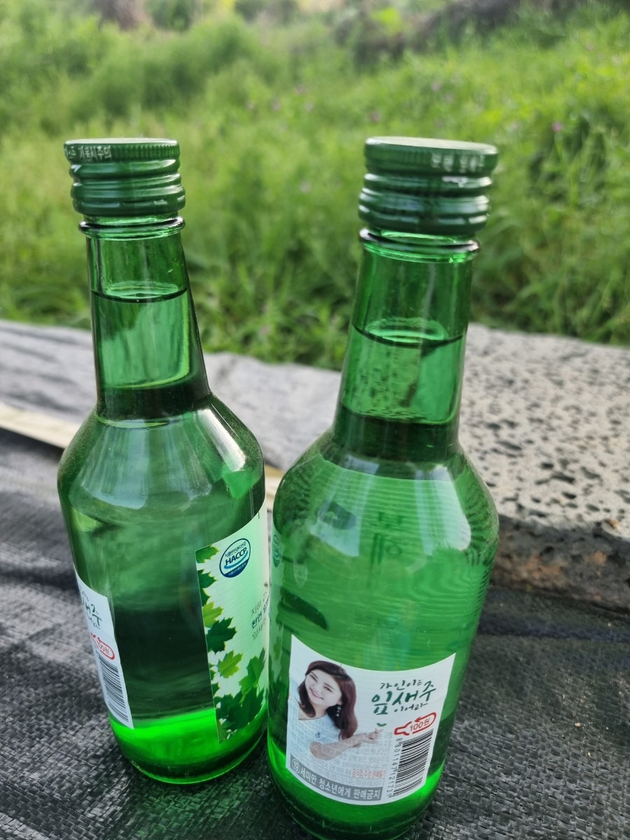 광곡제 사진 5