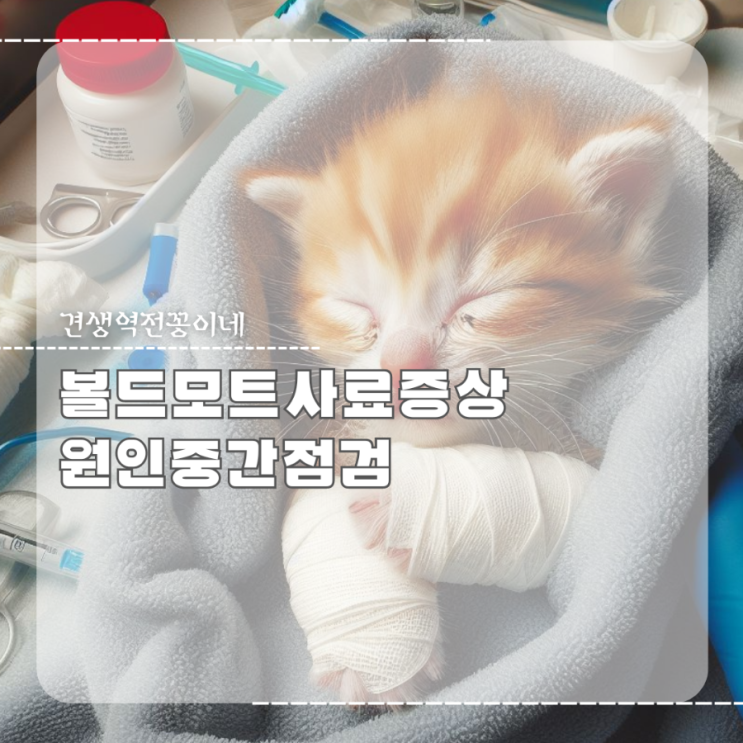  볼드모트사료 증상 고양이 신경근육병증 원충감염 살리노마이신