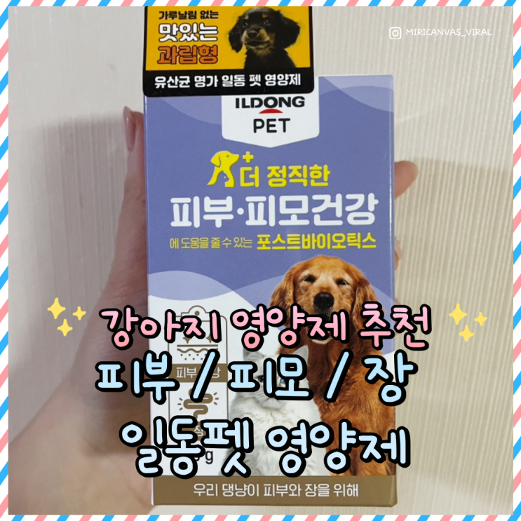  강아지 영영제 추천 : 강아지 피부 피모 장 한번에 도움 되는 일동펫 리뷰