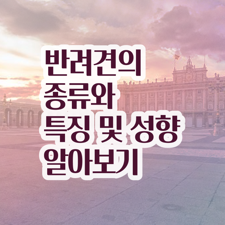  애완동물 추천 , 반려동물관리사 자격증 취득 정보 궁금하다면
