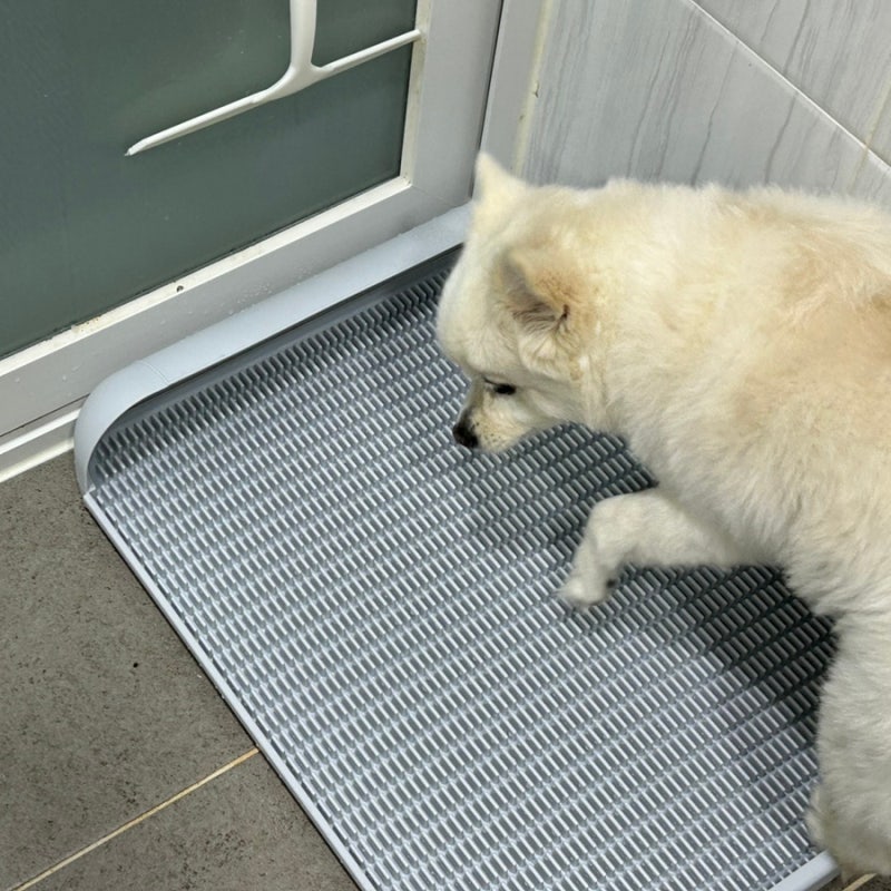 강아지배변패드 필요없는 독톡 배변판 훈련법 대형 강추 후기