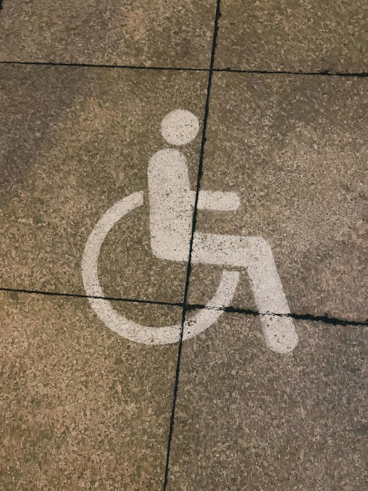  장애인 이동