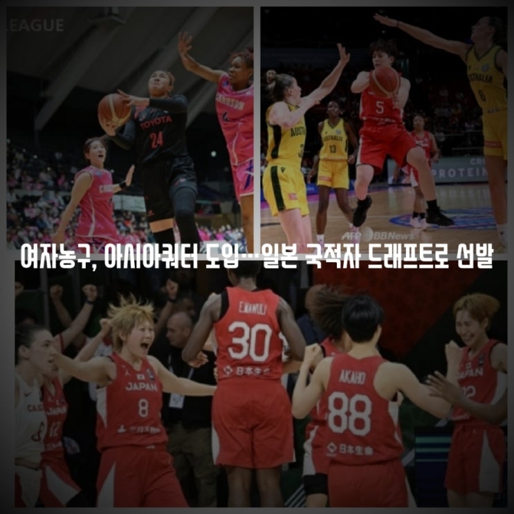 WKBL 여자 <b>프로농구</b>... 수준 <b>샐러리캡</b> 외국인 선수 제도... 