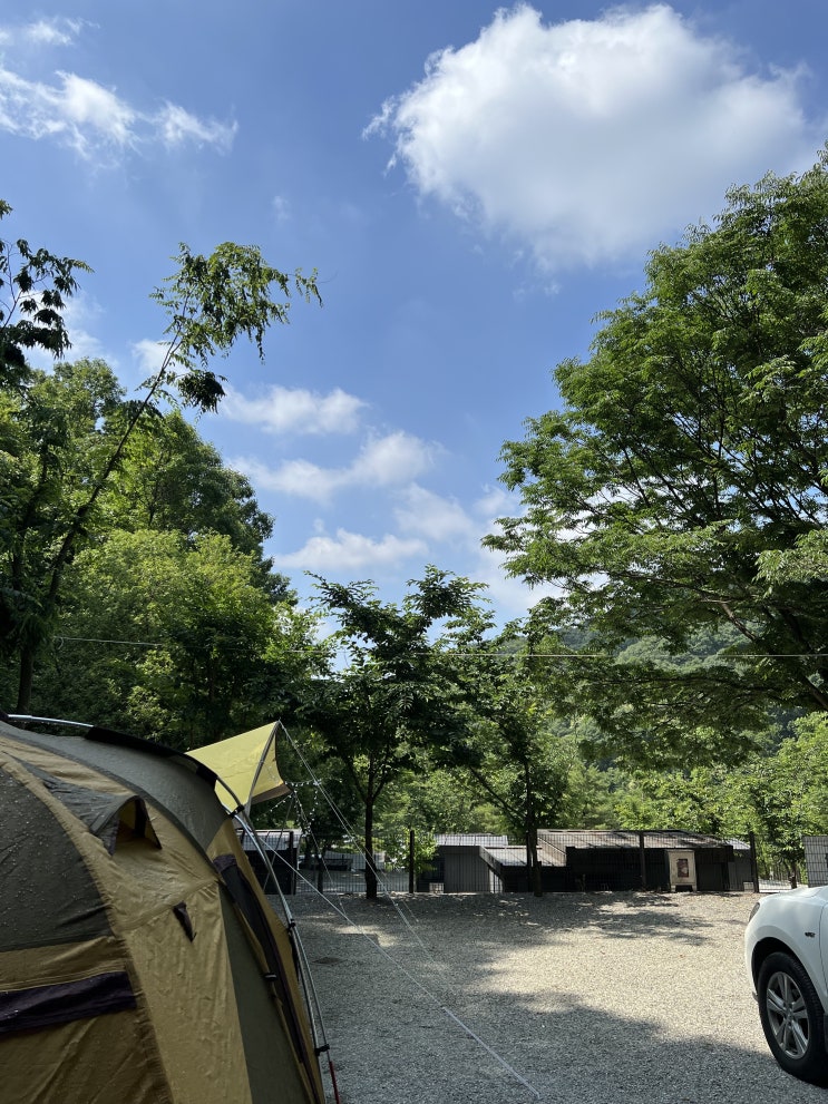  천안 대전 근교 프라이빗 캠핑장 추천 ㅣ 아우내캠핑장