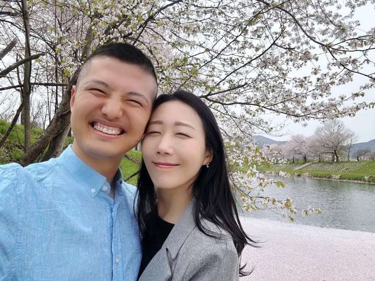  충남 계룡대 벚꽃 명소 "제3정문 앞 벚꽃길"