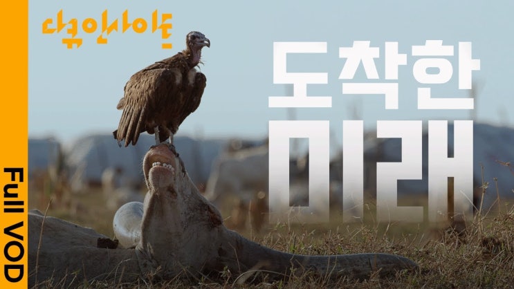 올여름 최악의 더위가 온다? 두바이 홍수, 미국 가뭄 등 지구가 인류에게 보내는 경고의 신호 올여름 최악의 더위가 온다? 두바이 홍수, 미국 가뭄 등 지구가 인류에게 보내는 경고의 신호