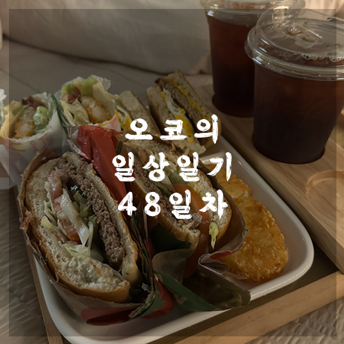 오코의 100일 일상일기 DAY 48 비오니까 쉰다