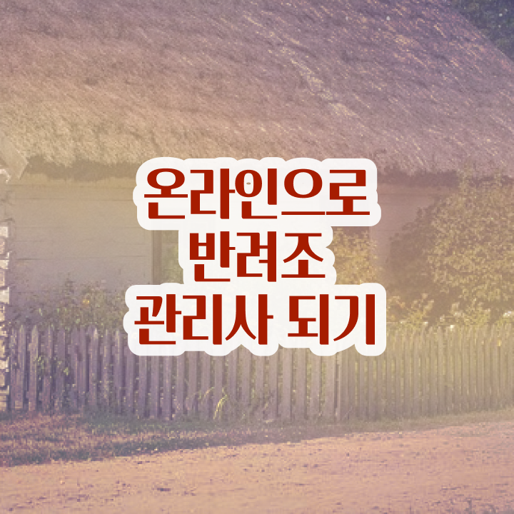  앵무새분양가격 , 반려조관리사 자격증 온라인강의 무료, 독학으로 합격 비법 및 온라인 무료강의