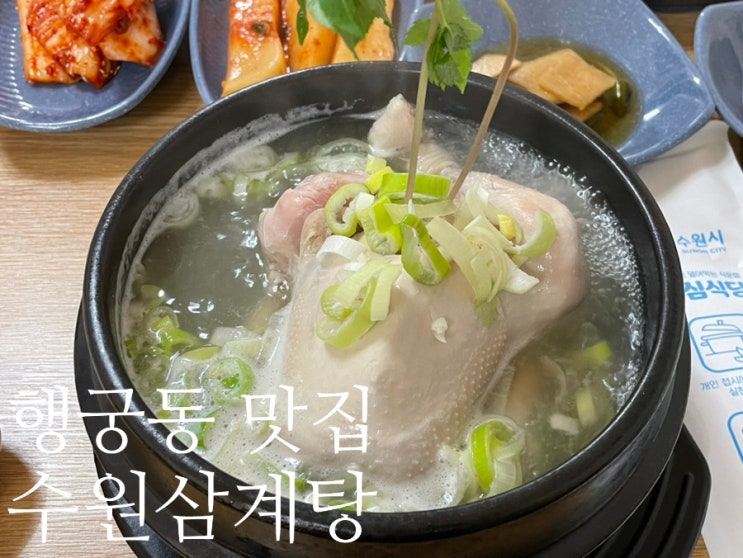  [수원삼계탕]  수원 노포맛집 삼계탕 보양식집 추천!
