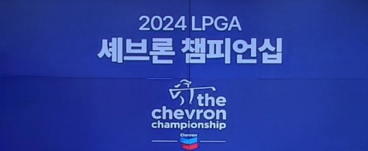 루키 <b>임진희</b>,쉐브론 챔피언십 공동선두 도약하고 방신실도... 
