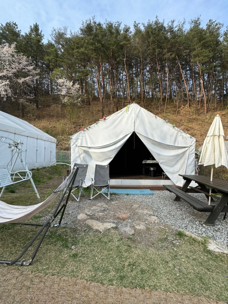  제천여행 충북 글램핑 수피아 글램핑 펜션 1박 후기
