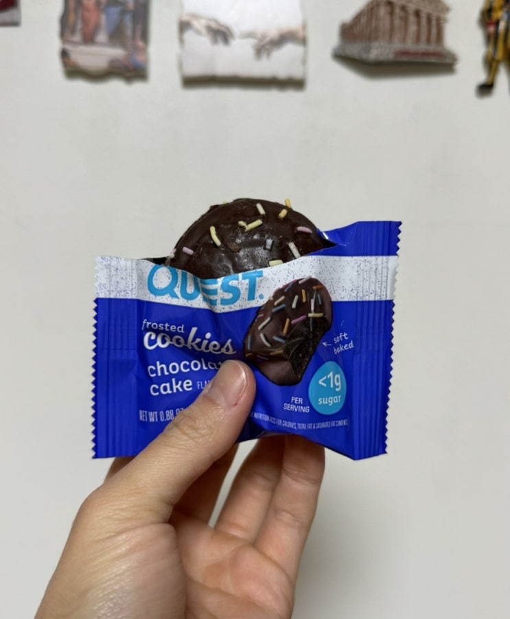  다이어트 빵 퀘스트 프로스트 쿠키 초콜릿케이크 추천