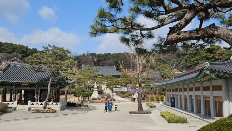  봉녕사｜경기도 수원시 평안하고 청정한 비구니 사찰에 다녀왔어요