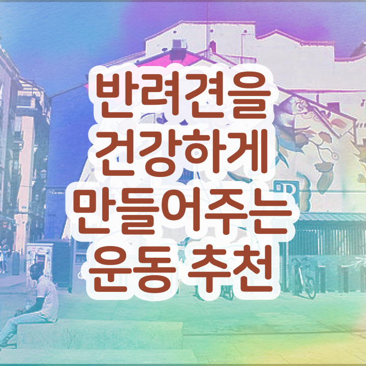  서울 강아지 운동장 , 반려견운동지도사자격증 직장인도 쉽게 준비해서 합격한 후기