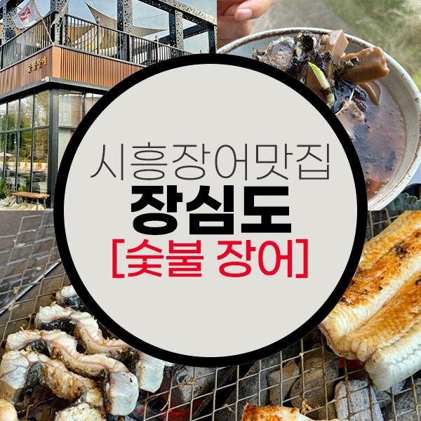  소문듣고 찾아간 시흥 장어 맛집 장심도,크기부터 남달라요