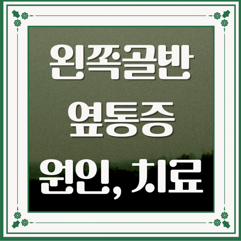 왼쪽골반옆통증 원인 해결방법 : 리얼 가이드 알아보기