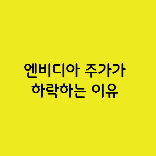  엔비디아 NVDA 주가가 하락하는 이유