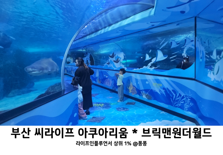 부산 아이랑 해운대 볼거리 씨라이프 부산 아쿠아리움 브릭맨 원더월드 실내 아이와 함께 가볼만한곳 추천 부산 아이랑 해운대 볼거리 씨라이프 부산 아쿠아리움 브릭맨 원더월드 실내 아이와 함께 가볼만한곳 추천