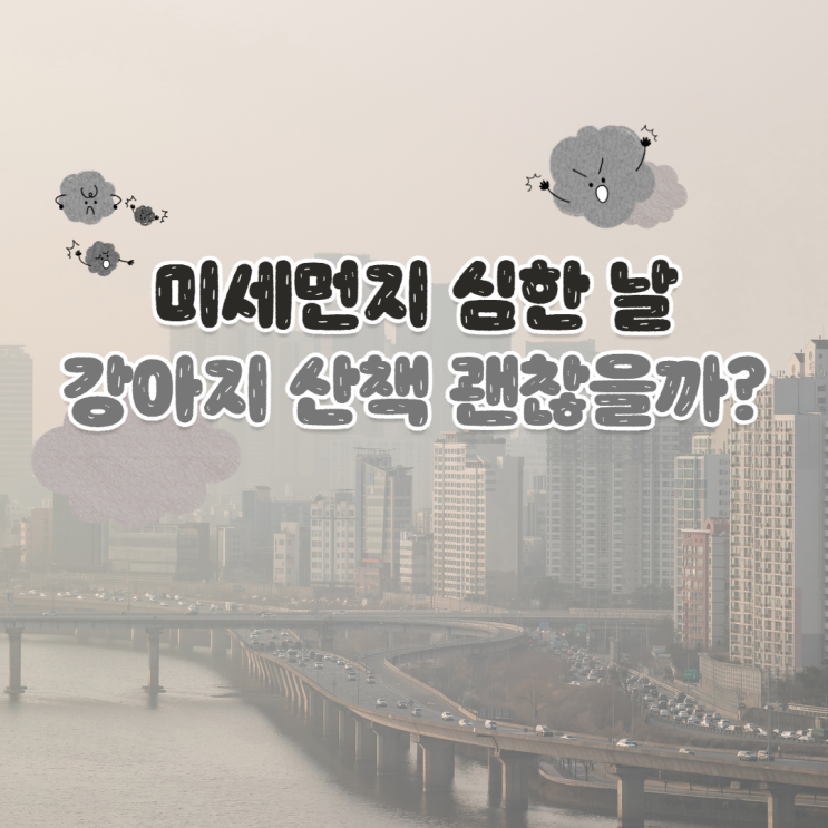  미세먼지 심한 날 강아지 산책 괜찮을까? 대처 방법은?
