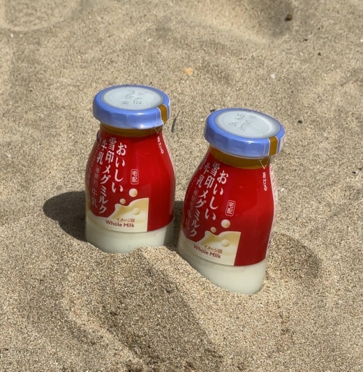  대마도 여행 미도리 자전거 대여 코스 미우다해변 병우유