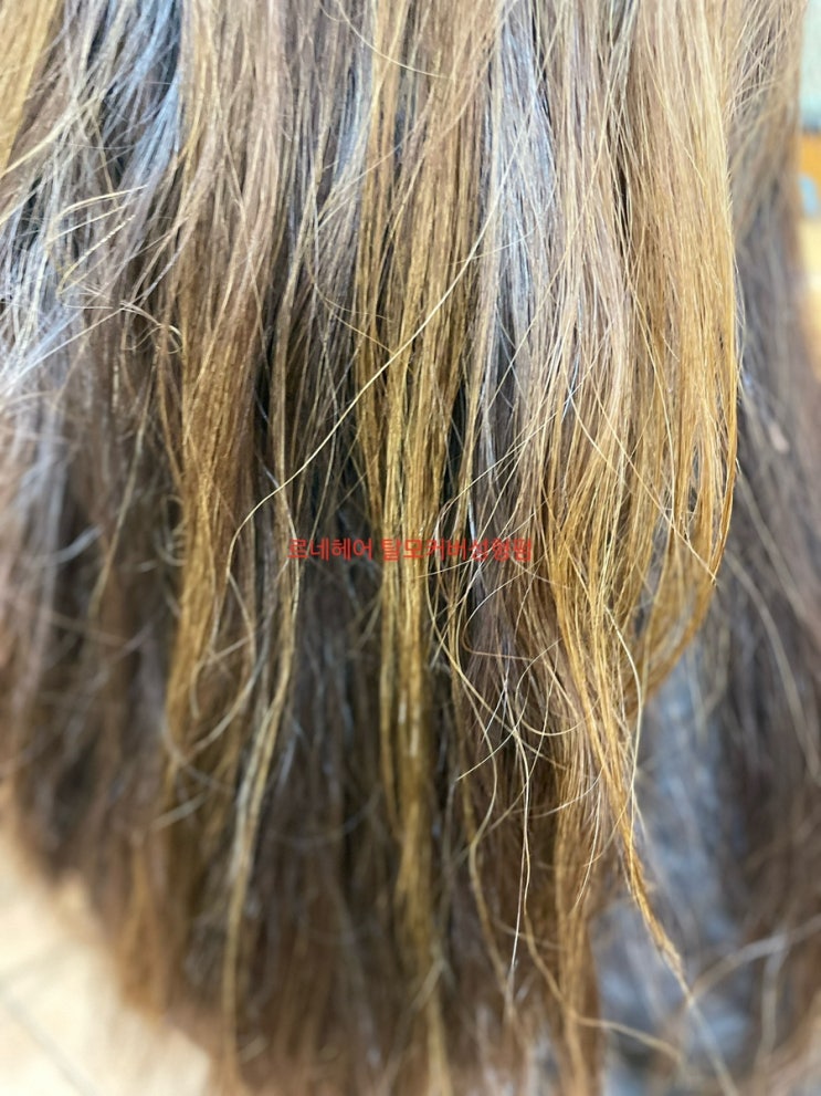  부산복구클리닉 똑띠합니다 사상르네시떼6층헤어샵/   덕포괘법주례감전모라만덕김해명지다대하단사하용원진해창원서면전포부전범일양정연제동래사직해운대기장남천용호반송남해거제밀양진주울산양산대구경남