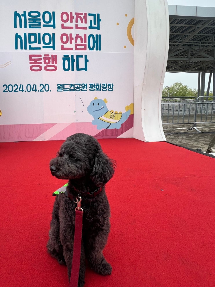 2024 서울 반려견 순찰대 활동 선포식 다녀왔어요!