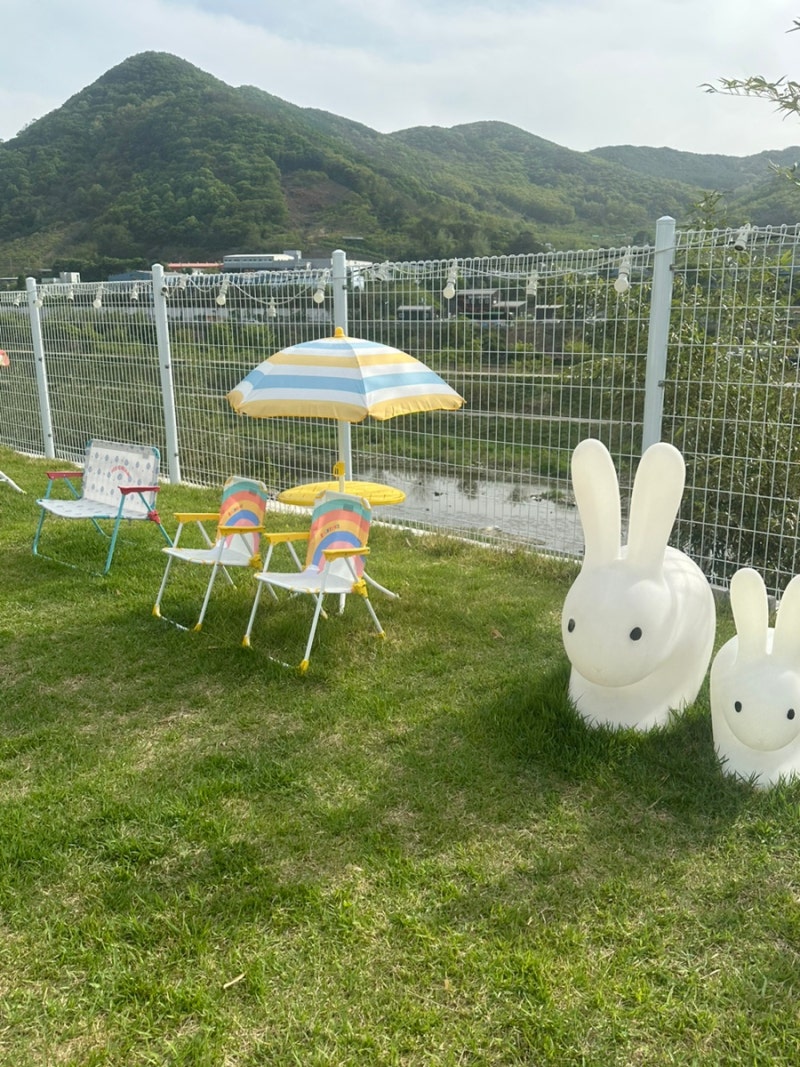사진 2