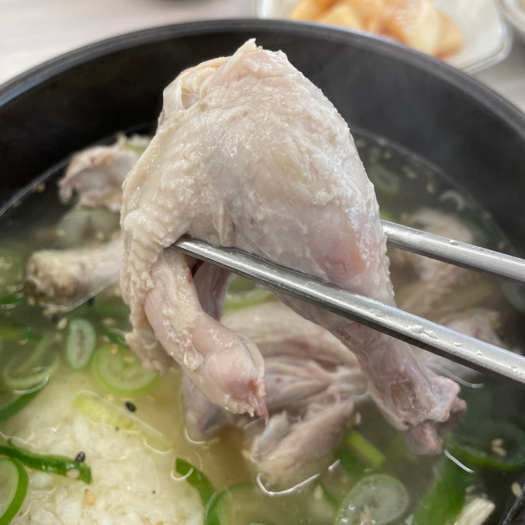  명지 삼계탕 맛집 김윤미전복삼계탕 #내돈내산
