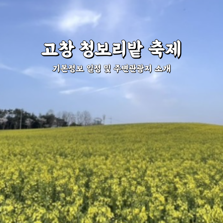  고창 청보리밭 축제 기본정보 일정 및 주변관광지 소개