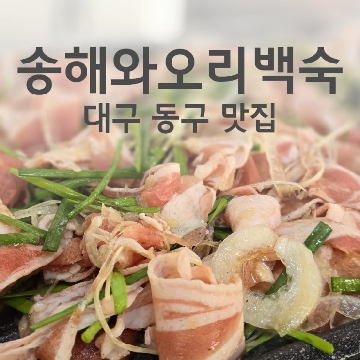  대구 율하 맛집 송해와오리백숙 동구 율하동 오리불고기 맛집