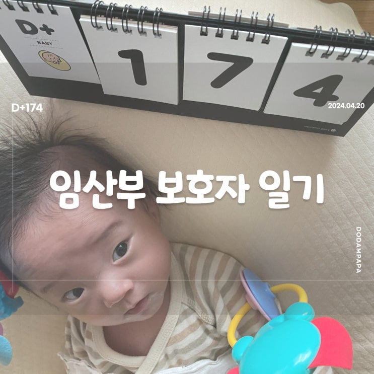 노는게 젤 좋은 도담이 D+174 노는게 젤 좋은 도담이 D+174