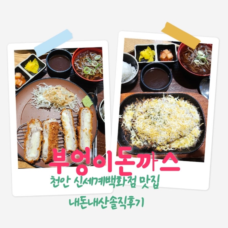  부엉이돈가스 천안신세계백화점맛집 내돈내산솔직후기