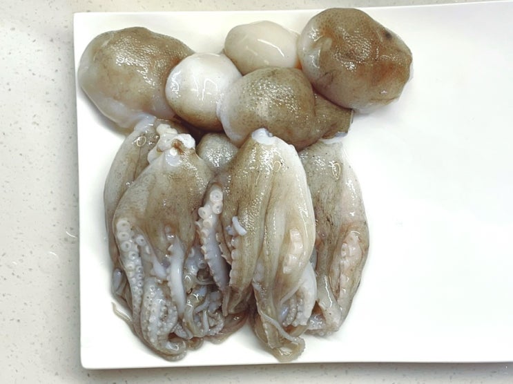  주꾸미손질법 봄 제철 생물주꾸미 알배기쭈꾸미 머리 내장 손질하기