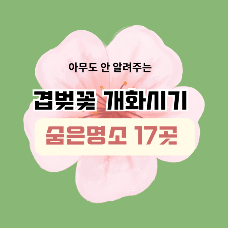  겹벚꽃 개화시기 숨은 명소 17곳 실시간 공개