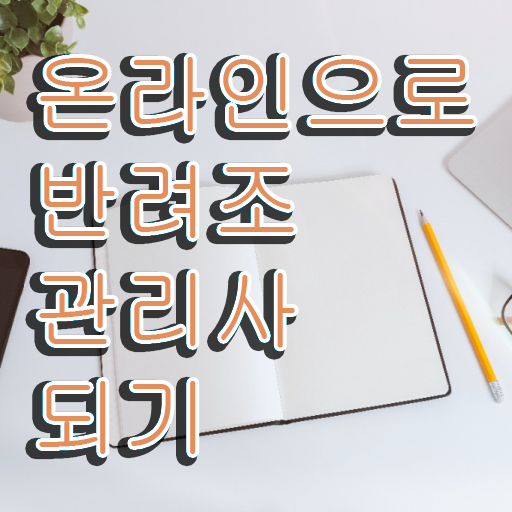  말하는 앵무새 분양 , 반려조관리사 자격증 주목받는 이유 정보 모두 드려요