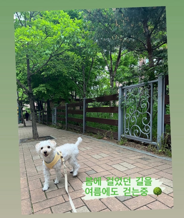  주말 일상 (주말루틴, 산책이 주는 것들, 기억하고 싶은 말과 글 그리고 사람)