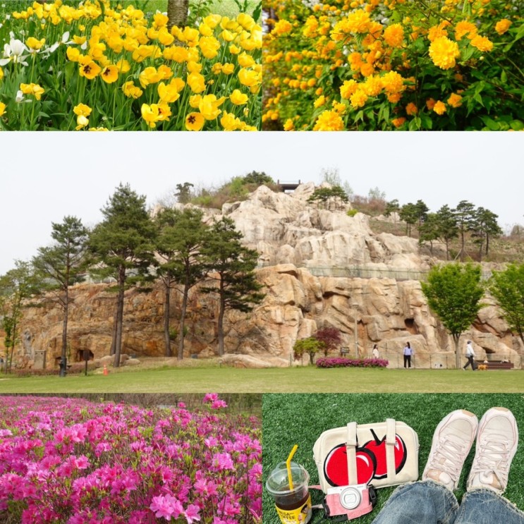 남양주 다산중앙공원 산책 꽃구경 놀이터 폭포 주차장 가볼만한곳