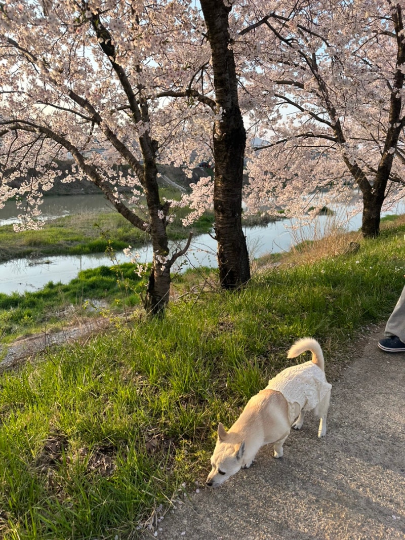 사진 4