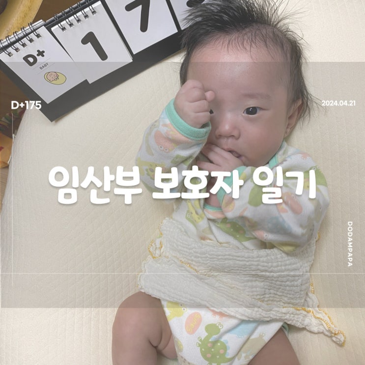 사람을 좋아하는 도담이 D+175 사람을 좋아하는 도담이 D+175