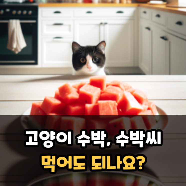고양이 수박, 수박씨 먹어도 되나요? 급여량과 집사 주의사항