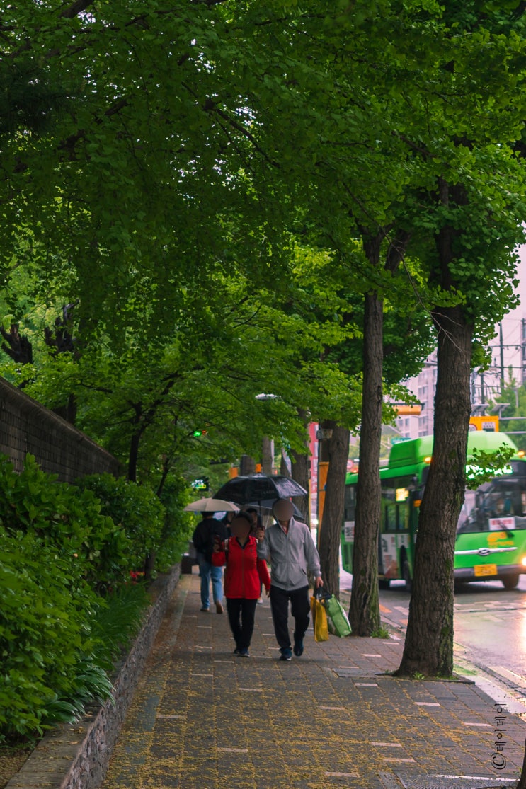  ::스물여섯 번째 공원:: 정자가 많아 쉬기 좋고 사계절이 이쁜 도로 한 가운데의 공원 구로거리공원