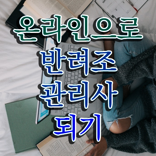  앵무새 지능 , 반려조관리사 자격증 과정 교육기관 궁금하다면
