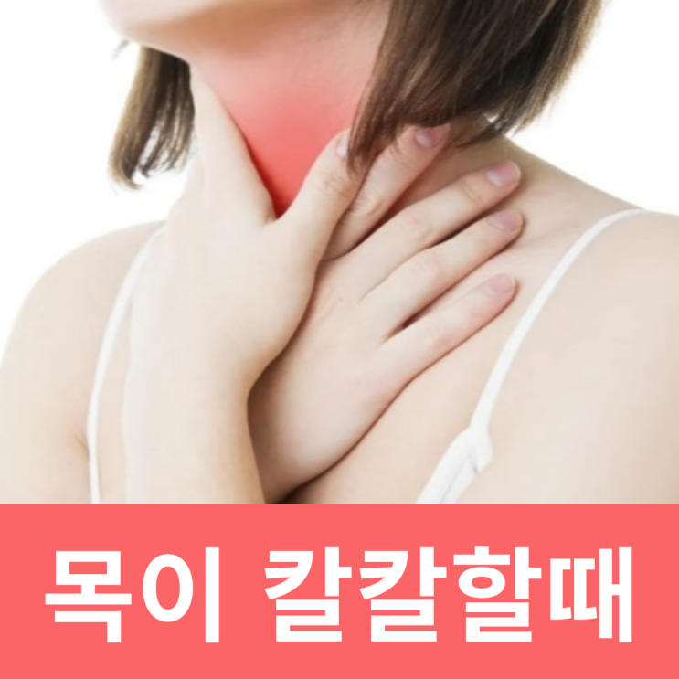  목이 칼칼할때 간지럽고 기침 원인 기관지에 좋은 차