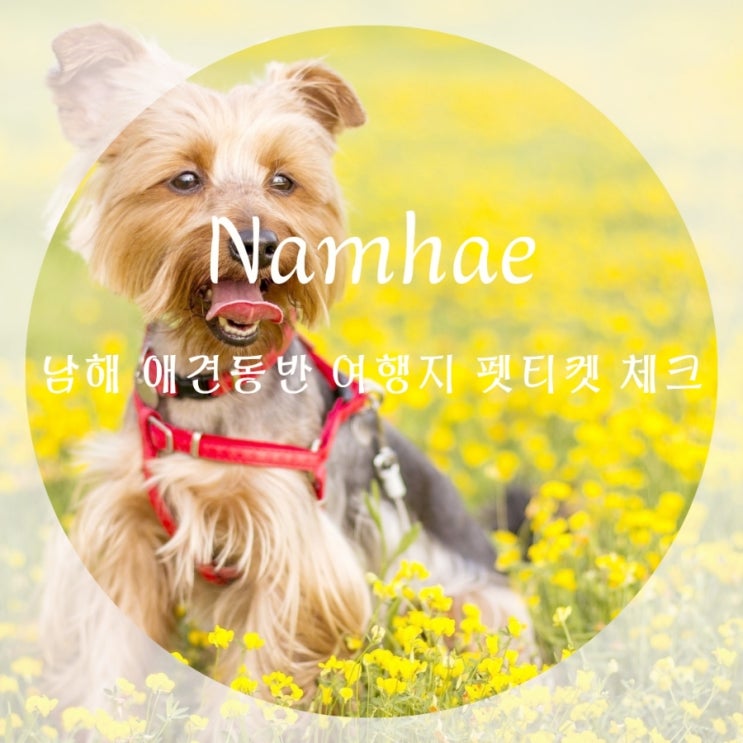 남해 애견동반 여행 애견동반숙소, 카페, 여행지 펫티켓 체크!
